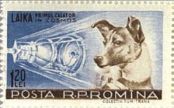 Romanian stamp from 1959 with Laika 